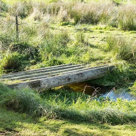 3 Bedroom Stunning In Tatil Evi Skjern