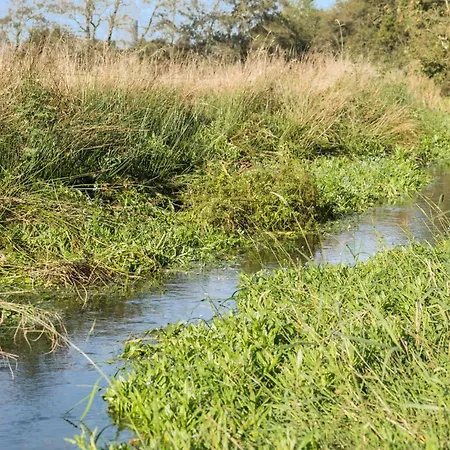 Tatil Evi 3 Bedroom Stunning In