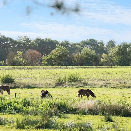3 Bedroom Stunning In Tatil Evi *